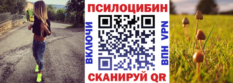 Купить  Невинномысск  Галлюциногенные грибы MAGIC MUSHROOMS 