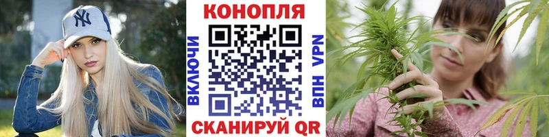 Конопля гибрид  Купить  Невинномысск 